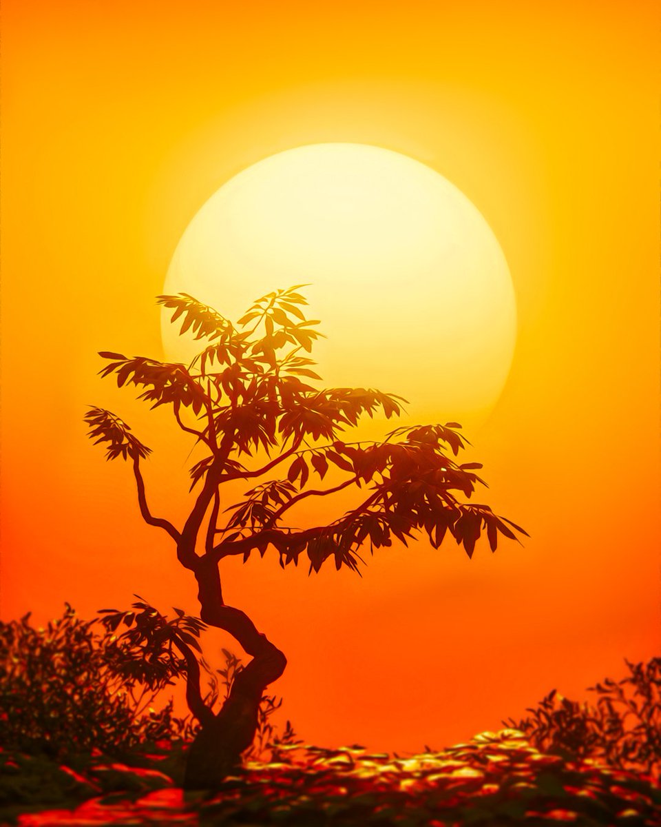 Mona . M tweet media