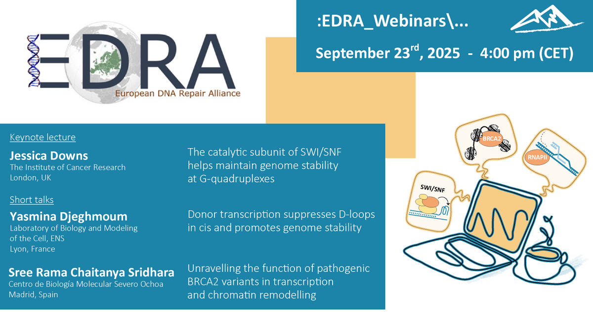 EDRA (European DNA Repair Alliance) tweet media