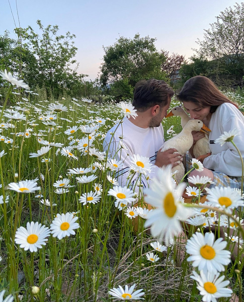 CountryDate_UK's tweet photo. 🎡 Skip the small talk—what we really want to know is:
Can you drive a tractor and two-step at the county fair? 🚜🕺
#RuralRomance #CountrySingles #MuddyBoots https://t.co/nEnsOM0rqz