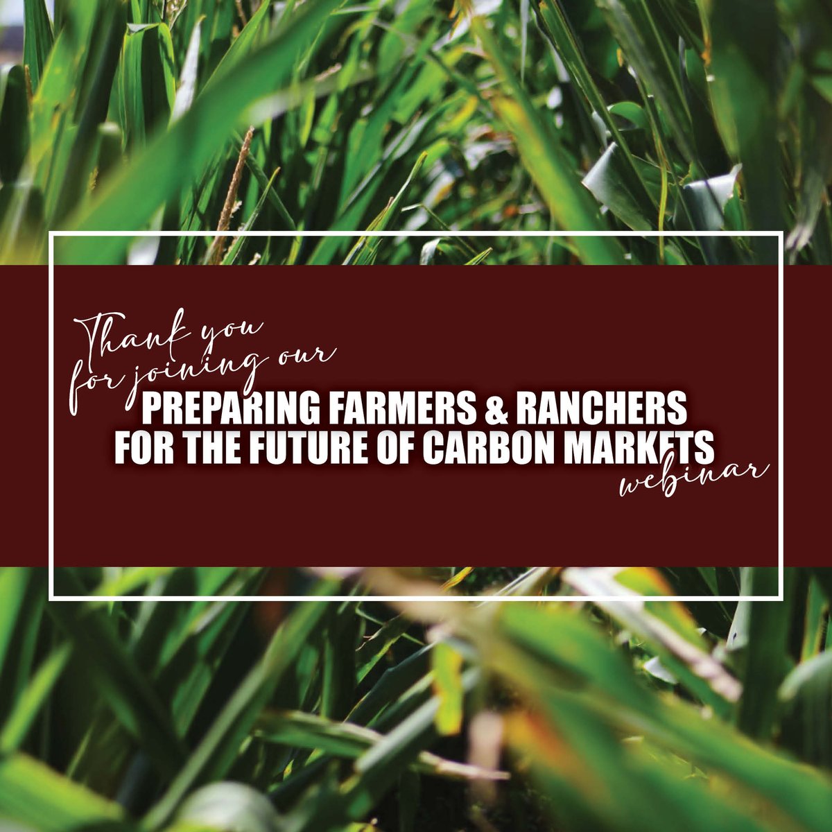 TiffDowell's tweet image. Thank you to everyone who joined our carbon webinar this week! We were thrilled to have attendees from 25 states.
If you missed it, don't worry! On Monday, we will post a recording on our Texas Agriculture Law YouTube Channel.
@Shock_N_AgMgmt @UKYAgEcon @SouthernERME