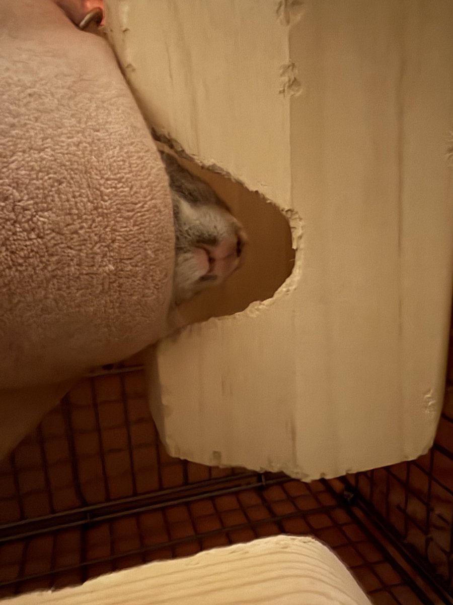 爆睡つくを下から激写