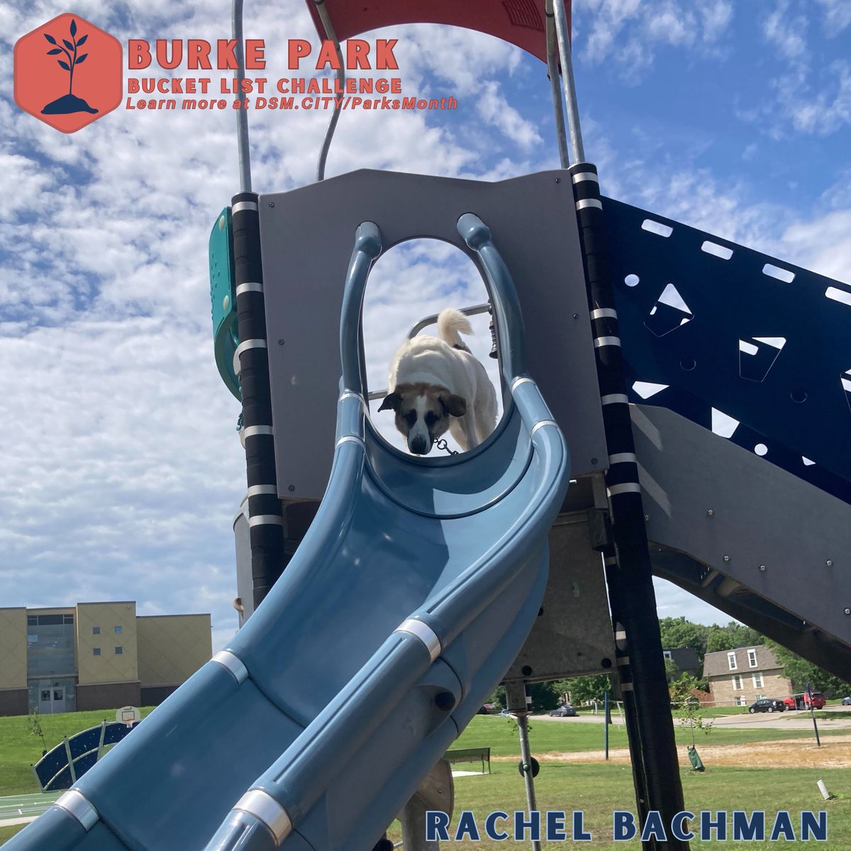 DesMoinesParks's tweet image. Look at those smiles! 😄🐶📸 Thank you to everyone who has helped us celebrate National Parks and Recreation Month so far, and for submitting your lovely and adventurous photos in our Bucket List Challenge! ✅🎉
 
Ready to submit your photos?📸🖼️ Visit DSM.City/ParksMonth!