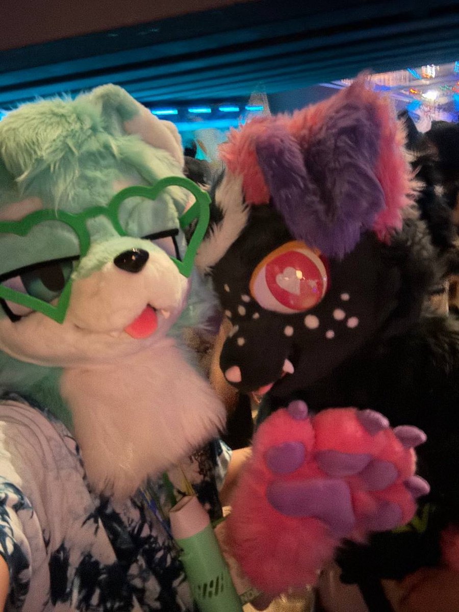 apuppyonline's tweet image. just mutts
#fursuitfriday
