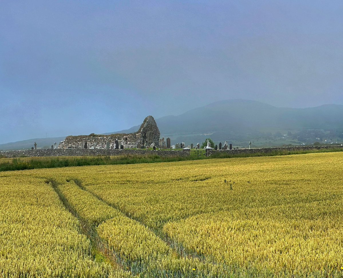 eamonlynch's tweet image. A foggy morning at the ruin of Kilwirra Church, where Joe Biden’s great-grandfather was baptized in 1840.
Cooley Peninsula, Ireland.