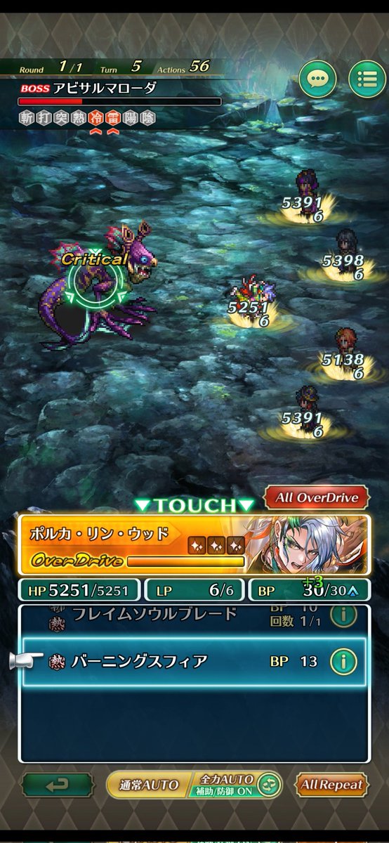 ネコ工房inピドナ tweet media