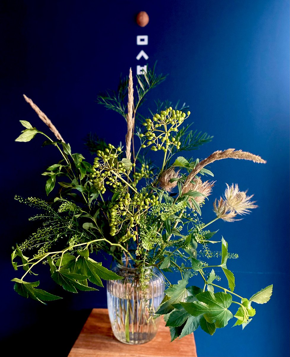 요즘 꽃들이 힘들어해서 기세등등한
초록이들로 7월 시작 😊