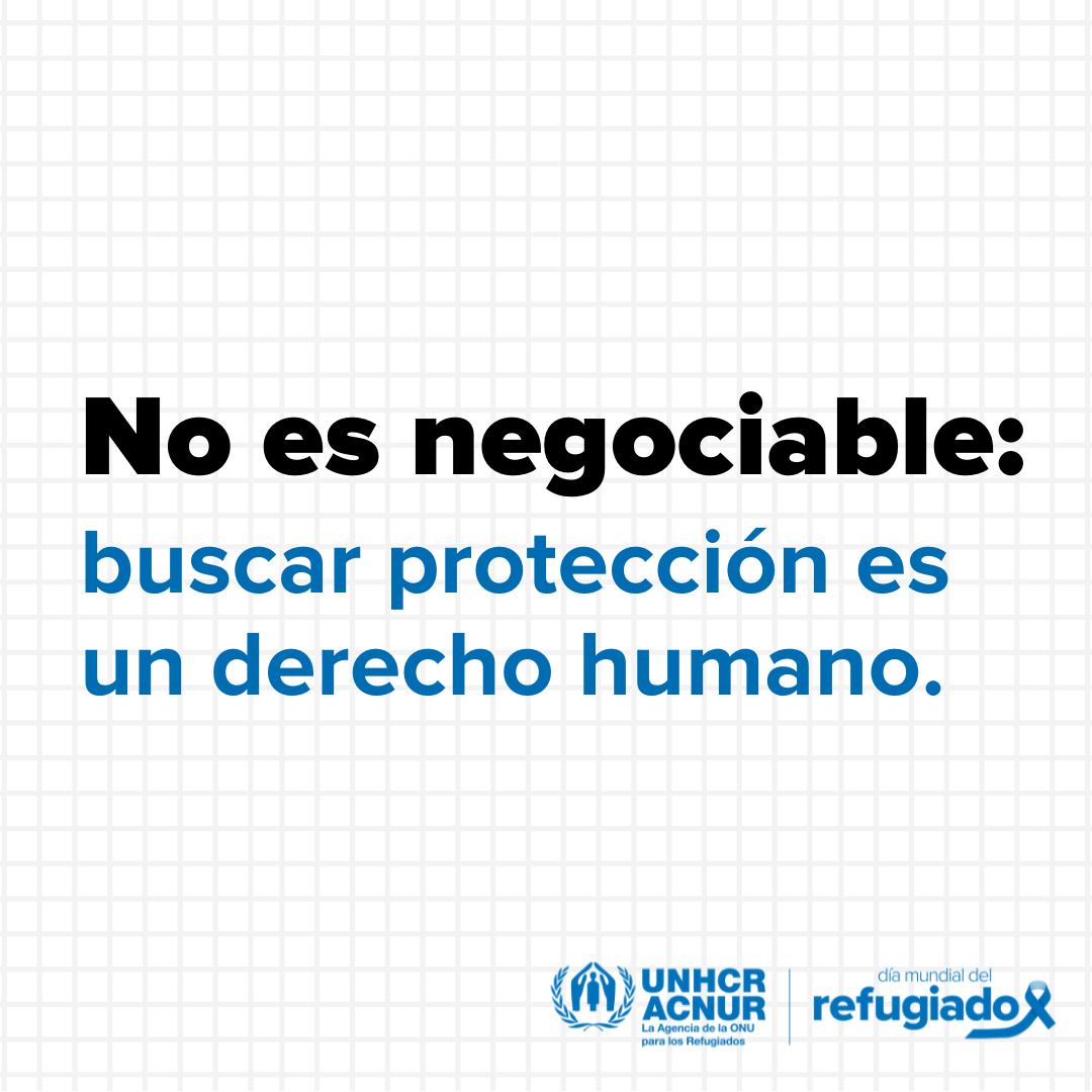 No importa de dónde vengas ni tu estatus migratorio: los derechos humanos son universales.

Toda persona tiene derecho a solicitar protección y asilo cuando huye de la violencia o la persecución.

📢 Infórmate y comparte: los derechos no tienen fronteras.

<a href="/ACNUR_es/">ACNUR, la Agencia de la ONU para los Refugiados</a>: