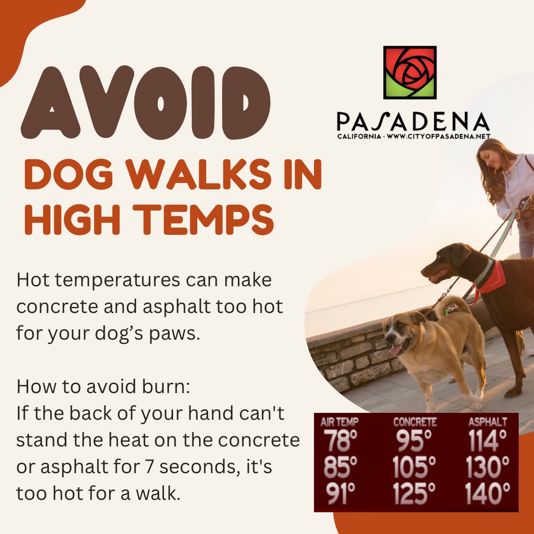Hot temperatures can make concrete and asphalt too hot for your dog’s paws.

How to avoid burns:
If the back of your hand can't stand the heat on the concrete or asphalt for 7 seconds, it's too hot for a walk.
