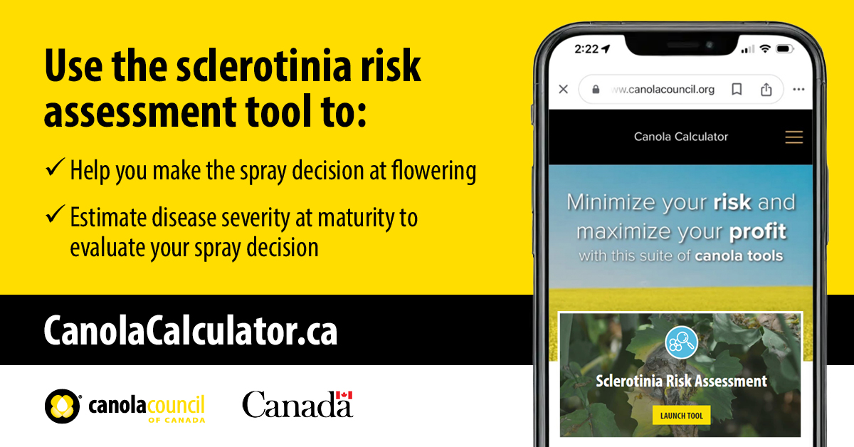 canolacouncil's tweet image. To spray or not to spray?
Our sclerotinia risk assessment tool helps assess risk during canola bloom and make timely, informed decisions. Check it out today at CanolaCalculator.ca