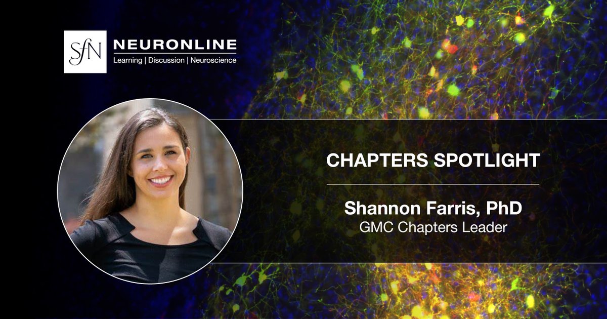 NeuronlineSfN's tweet image. Want to learn more about SfN local chapters?
Explore these chapter spotlights and more on Neuronline to learn more about chapter leaders and how chapters fit into the SfN mission.
Read now: vist.ly/3n94kkc
