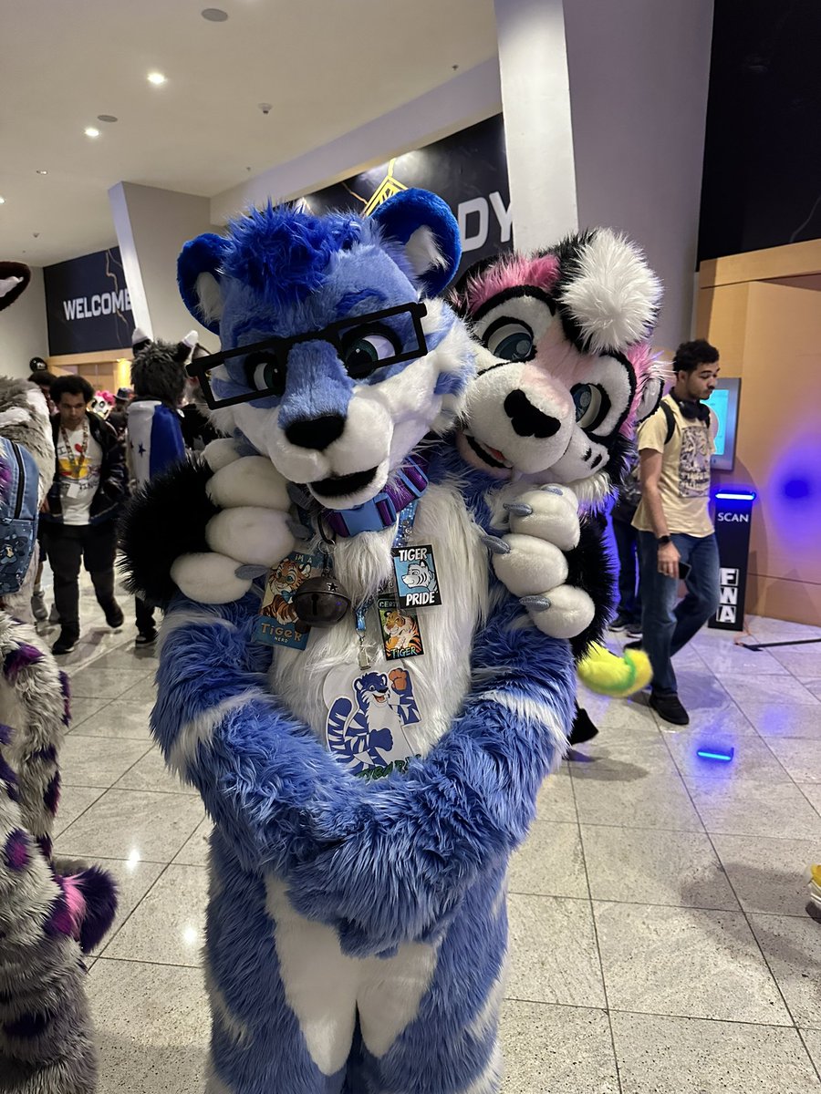 CometPaka's tweet image. It’s time for cats! Like every day. #FursuitFriday
💙: @TybaricTiger
📸: SnepSakai