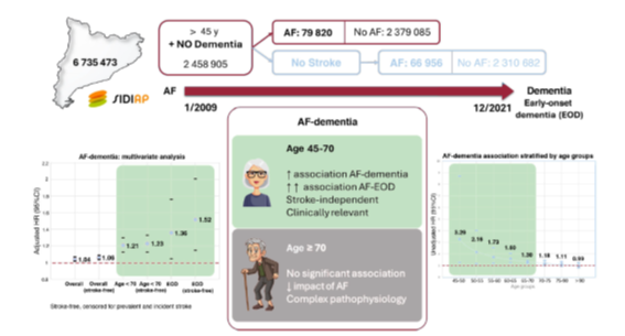 JuanSanchisFor's tweet image. In a large Mediterranean cohort, atrial fibrillation was independently associated with a modest increase in dementia risk, regardless of stroke. Read this article published in @RevEspCardiol by @Di_Marco_Andrea
revespcardiol.org/en-association…