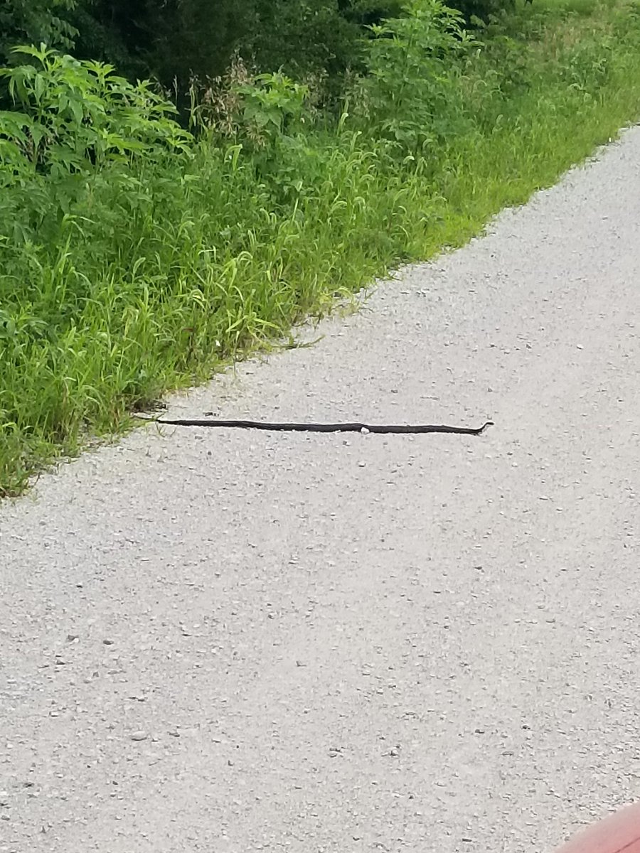 From the Ted Hinton Weather Center: We are predicting rain for Irving Township in Brown County Kansas this evening