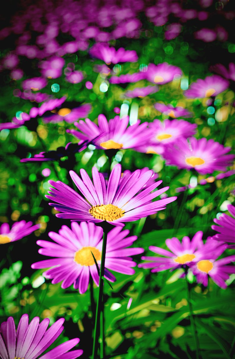 • Ghost Of Tsushima •

#GhostOfTsushima