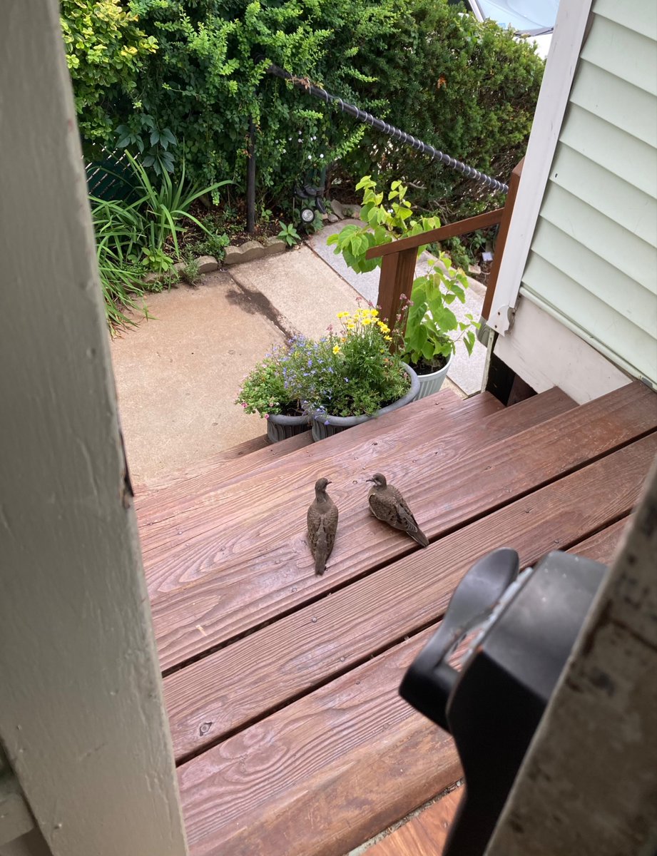Great, now they want in. 
Where are the parents