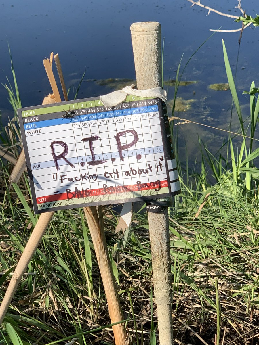 theTrev0's tweet photo. Chalk outline washed away, just a memorial plaque left! @spittinchiclets @BizNasty2point0 @armdog @barstoolsports @JustBins @Sportsnet https://t.co/xzvOSnPoy9