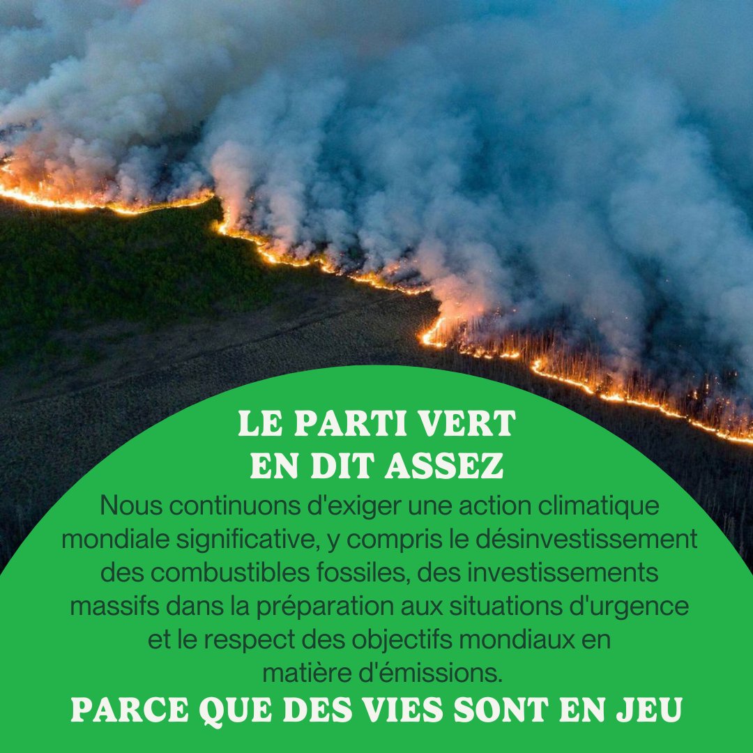 Ces tragédies sont le résultat de décennies de retard, de déni et de loyauté envers les combustibles fossiles de la part de ceux qui sont au pouvoir. Le Parti vert est là pour lutter en faveur d'une action concrète.