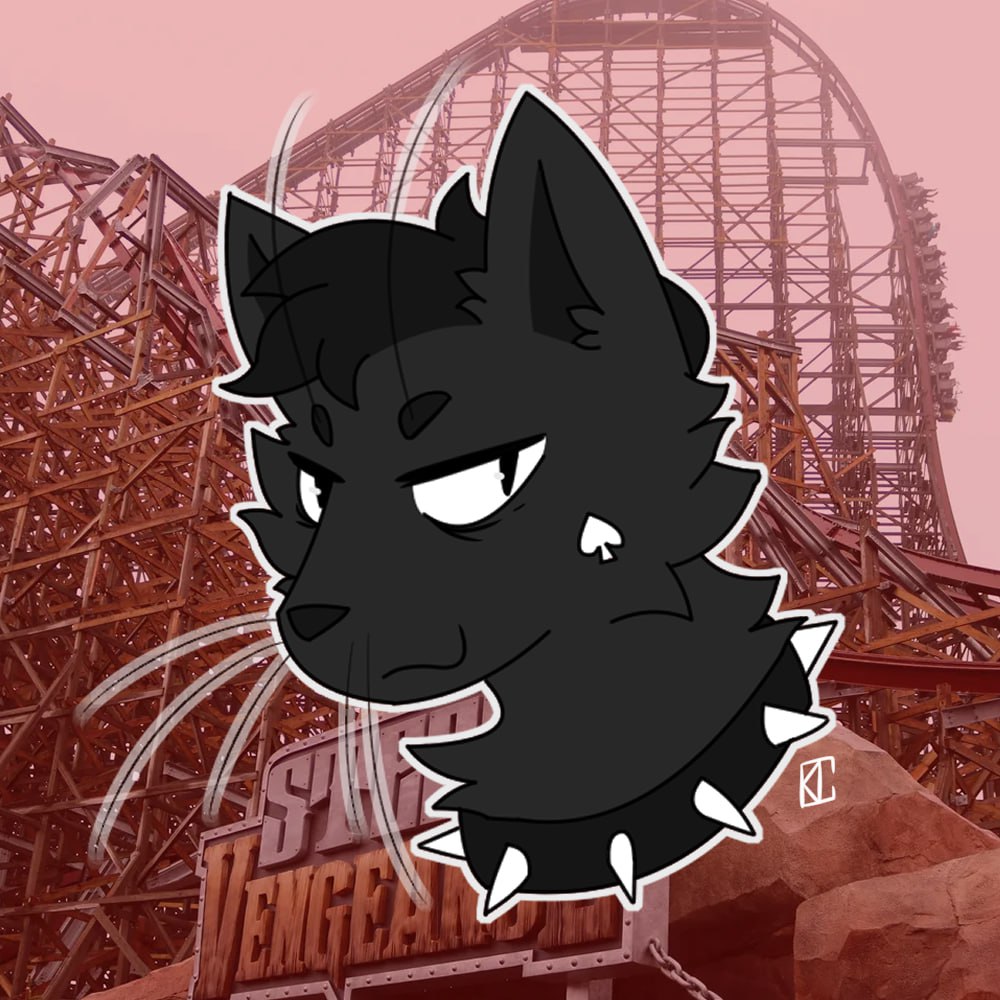 Artfight attack for skyrush! 🐈‍⬛🎢♠️ 

#Artfight #artfight2025