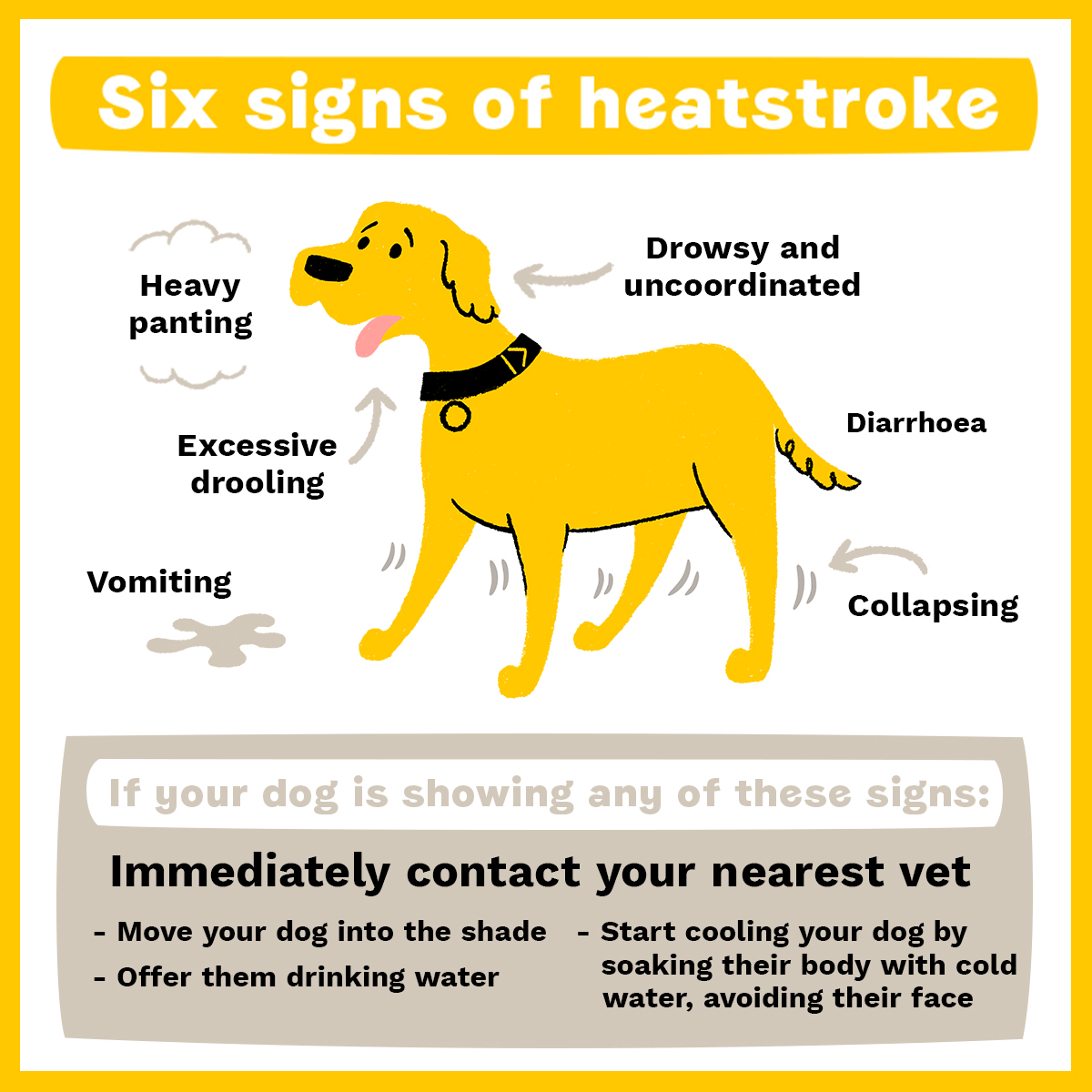 Tetley is wishing you a fabulous weekend and wanted to share some impawtant tips with you on how to keep your pooches cool!☀️

You can find more info here: bit.ly/4eKrrZK