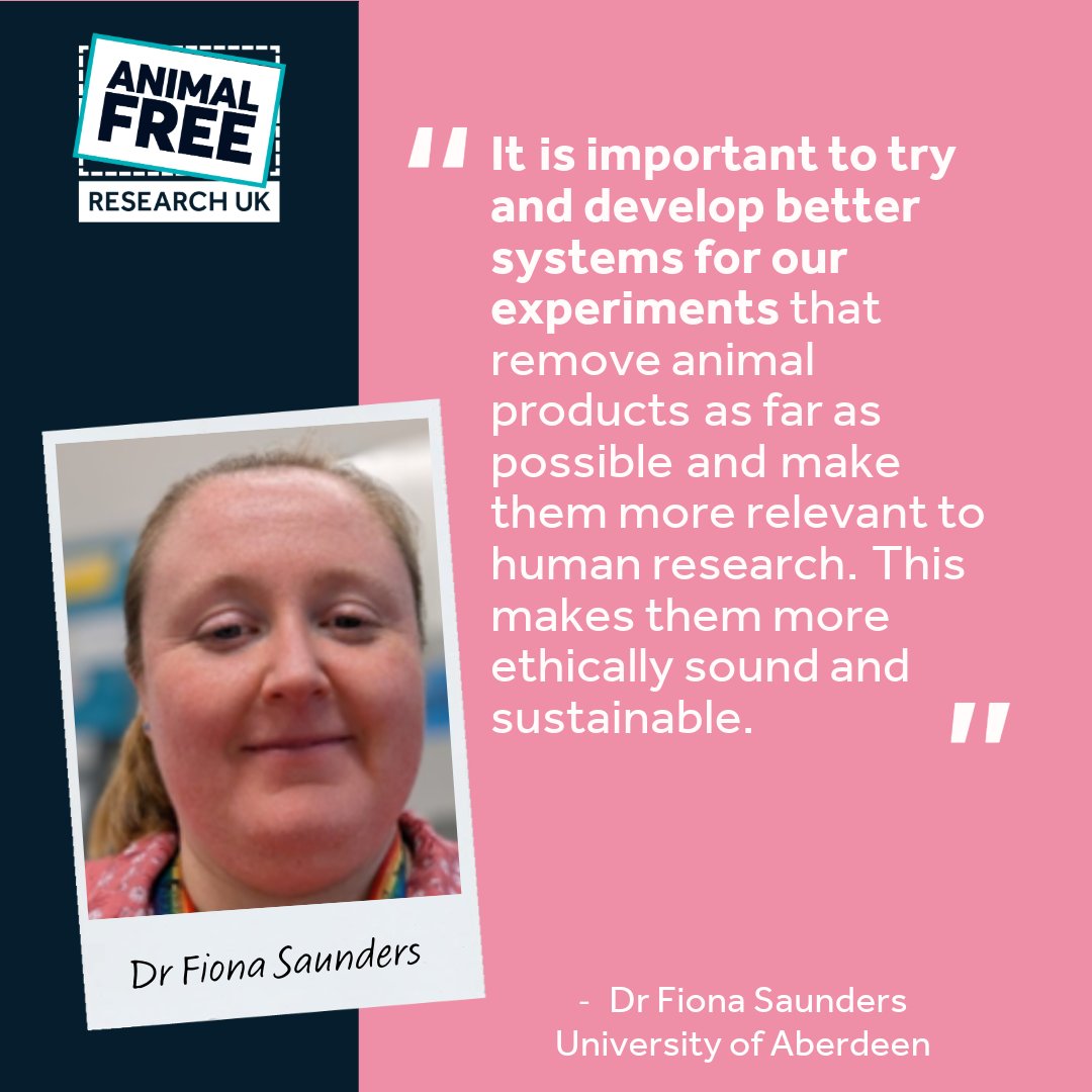 AFR_UK's tweet image. Get to know Dr Fiona Saunders! 👩🔬
Fiona’s building ethical, human-specific models to replace animal use in breast cancer research. With a wealth of experience, she’s driving science forward - the kinder way.
animalfreeresearchuk.org/project/get-to…
#KinderScience #BrighterFuture @aberdeenuni