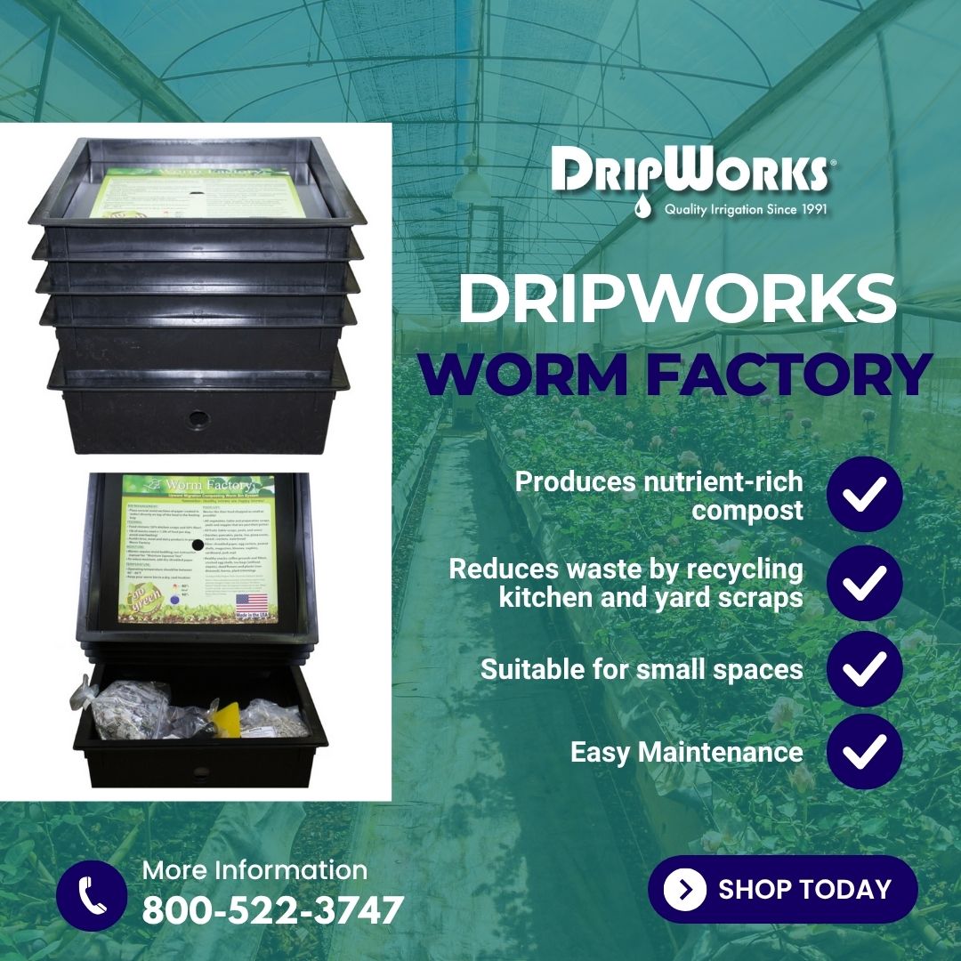 dripworksusa's tweet image. The Worm Factory makes composting easy, odor-free, and efficient—right from your home. Let red wigglers do the work while you harvest rich, organic worm castings for your garden.

Shop here: dripworks.com/worm-factory
#WormComposting #Vermicompost #DripWorks #WormFactory