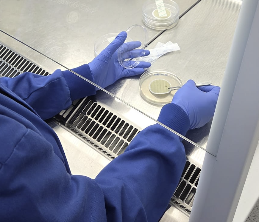 SciencesNCL's tweet image. I collected water samples from the Lort Dene, a hidden river from Leazes Park to the River Tyne. I&apos;m studying its bacterial diversity, which has never been done before. I also sampled the Victorian Tunnels&apos; iron-rich water. Stay tuned for interesting results! #WeAreNCL #placement