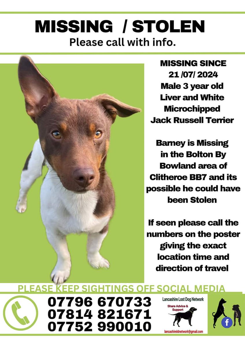 MissingPetsGB's tweet image. Sadly a year has now passed &amp;amp; #stolen BARNEY is still #Missing 

PLEASE HELP GET BARNEY HOME🐶
£2500 for information, doubled for his return.

Please get in touch with any information regarding Barney, brown &amp;amp; white Jack Russell. He was taken from Bolton by Bowland #BB7