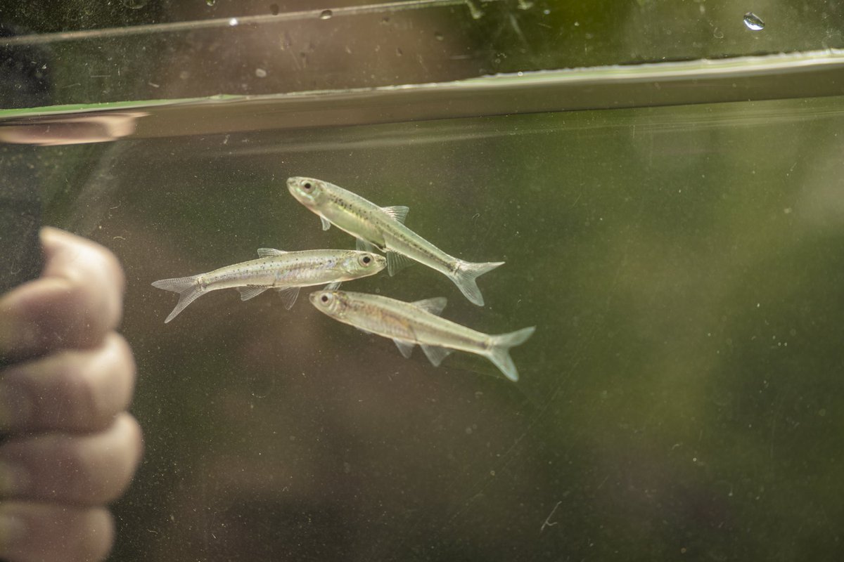 Mack Calvert (@mackcalvert2) on Twitter photo 