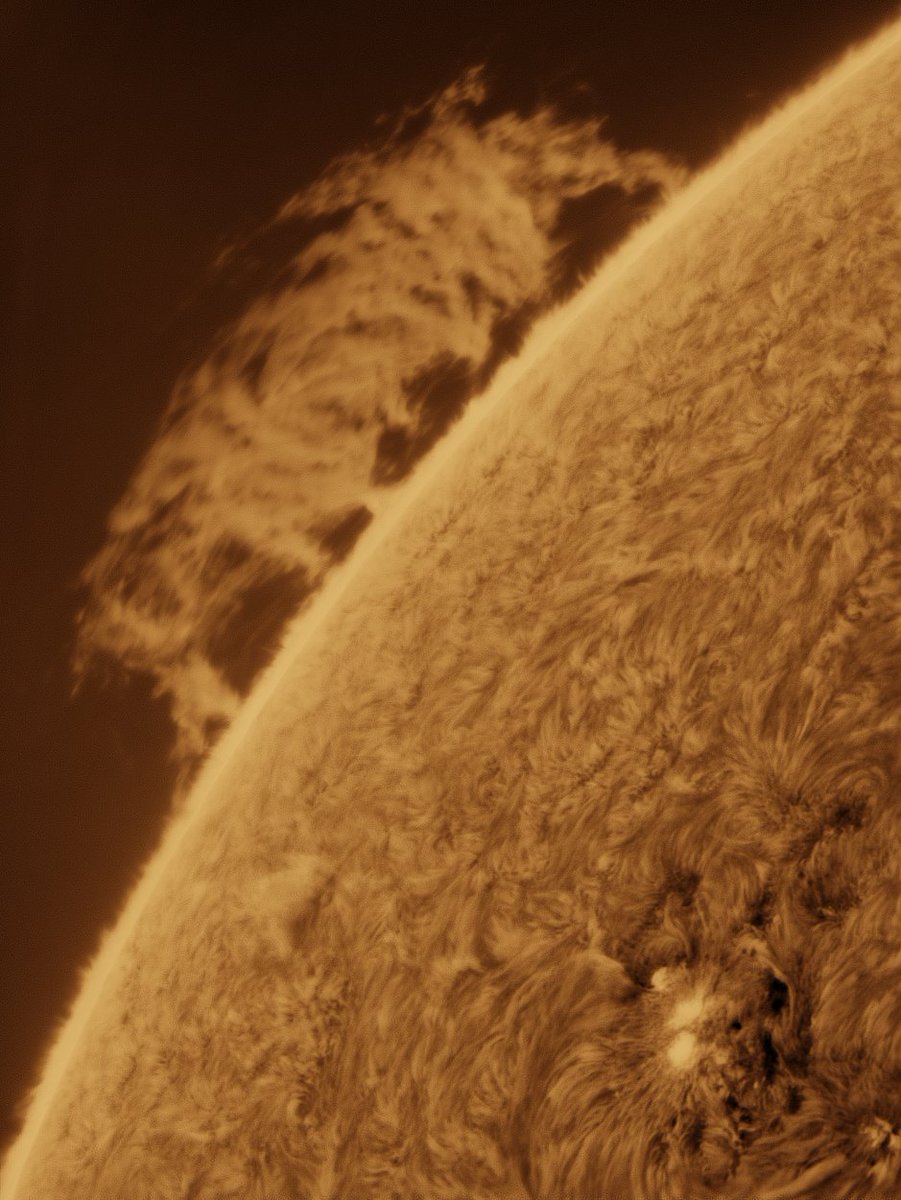 MBerto7's tweet image. Sesión solar de hoy (11-07-2025)
- Limbo este con una gran prominencia junto a AR4136
- Detalles solares

ES 127mm f7.5 carbon
Daystar Quark chromosphere 
P One Apollo-M Mini
P One ERF S-Series
Svbony UV IR cut