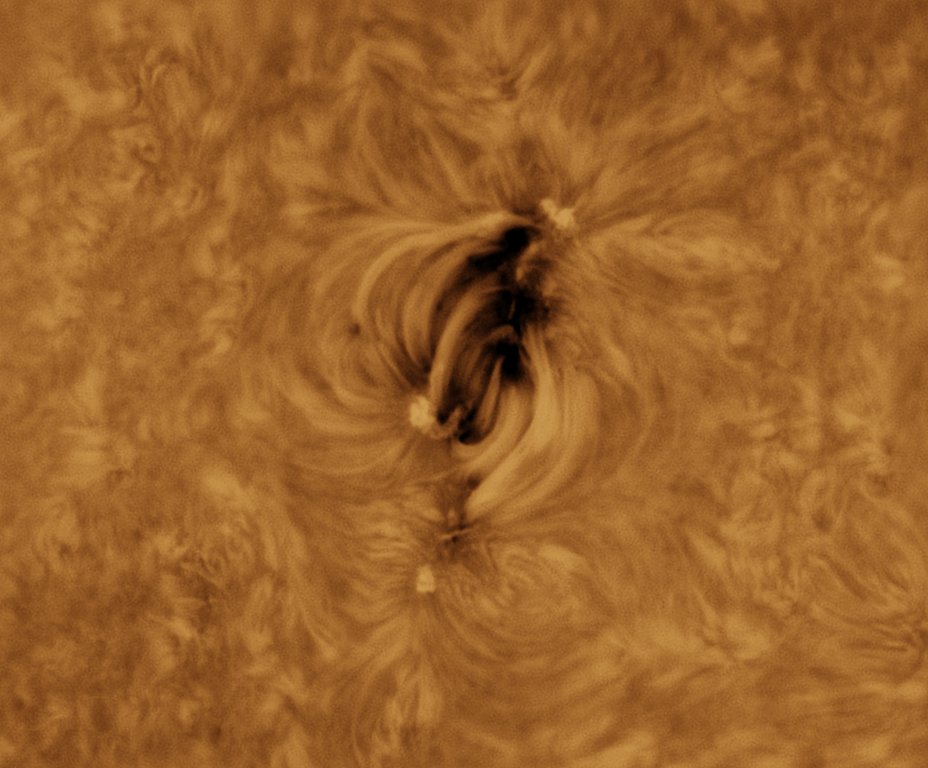 MBerto7's tweet image. Sesión solar de hoy (11-07-2025)
- Limbo este con una gran prominencia junto a AR4136
- Detalles solares

ES 127mm f7.5 carbon
Daystar Quark chromosphere 
P One Apollo-M Mini
P One ERF S-Series
Svbony UV IR cut