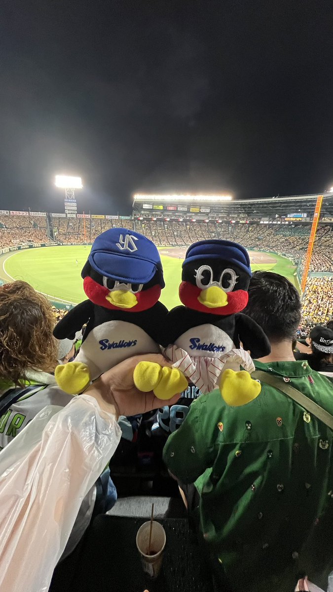 zucchini_2896's tweet image. 2025.7.11 現地すわほーでした！！☂️
#swallows