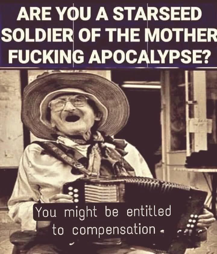 Amanda Elizabeth Devik tweet media