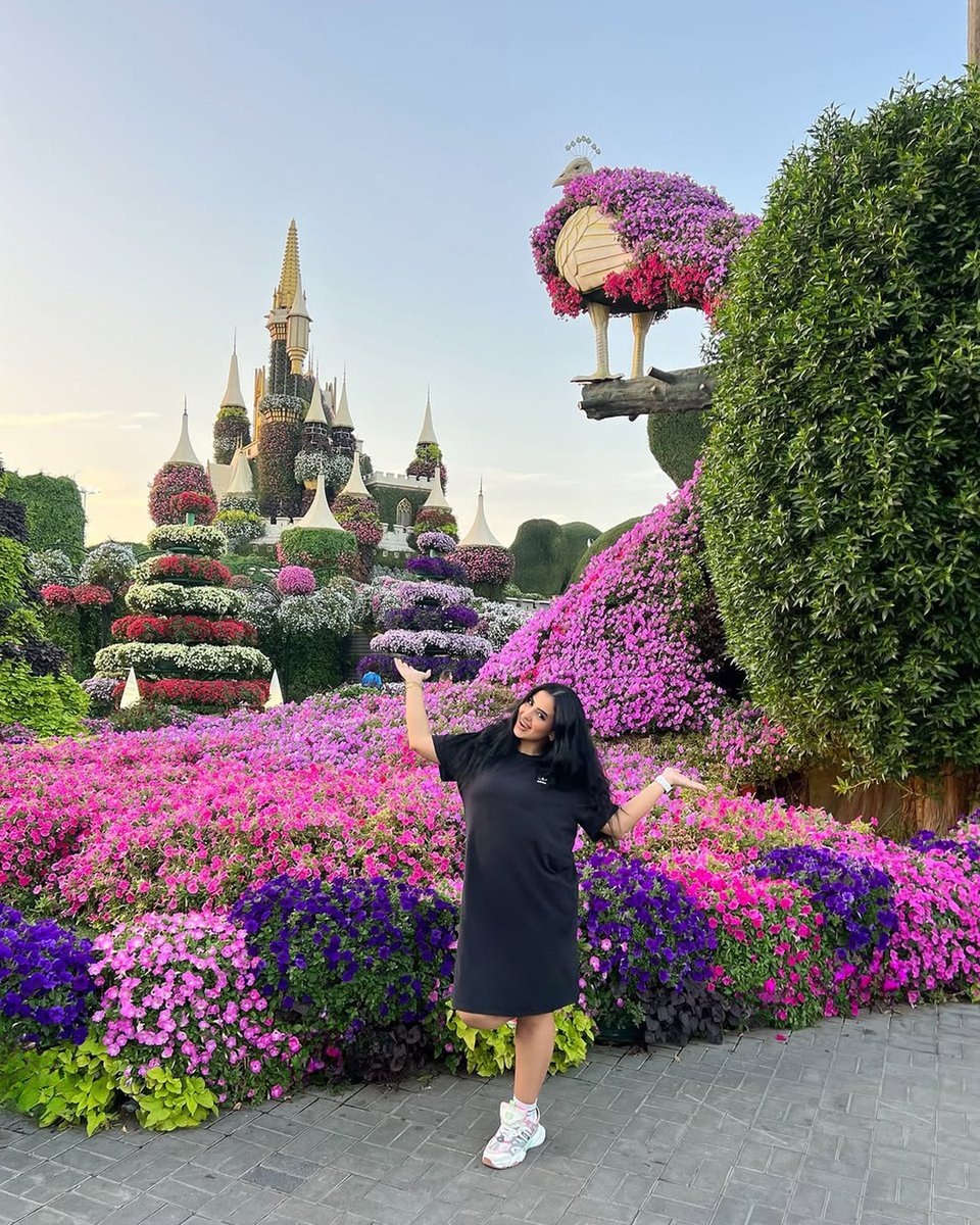 Dubai Miracle Garden tweet media