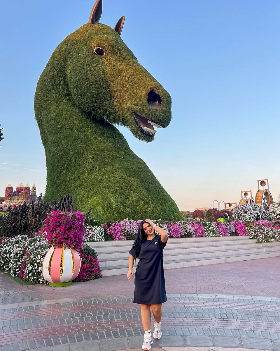 Dubai Miracle Garden tweet media