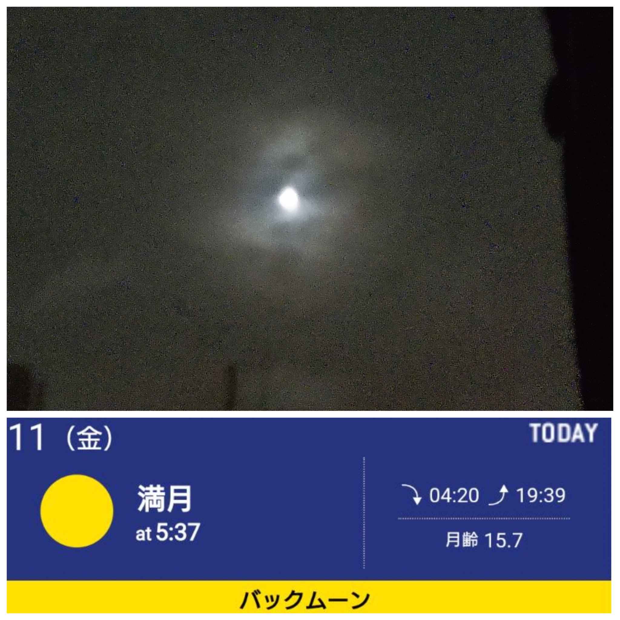 ❤️　❀本日満月月祈りヒーリング❀ 満月イェーイ - البحث / X