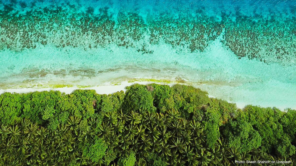 IUCN's tweet image. Nature is giving us the means to combat both the causes and consequences of #ClimateChange. 

Discover more about the amazing power of #NaturebasedSolutions. ow.ly/iwwq50AeJRr 

#ClimateAction