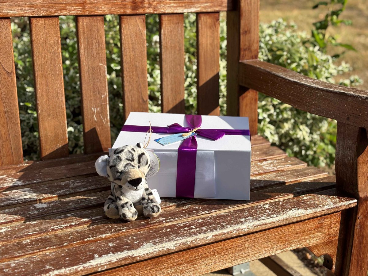 NNUH's tweet image. We're offering Children’s Loveliness boxes funded by @NNHospCharity for children who have relatives receiving end of life care.
If you’re visiting a loved one and would like to request a box, teddy, books or hearts please speak to the ward who will contact Palliative Care.