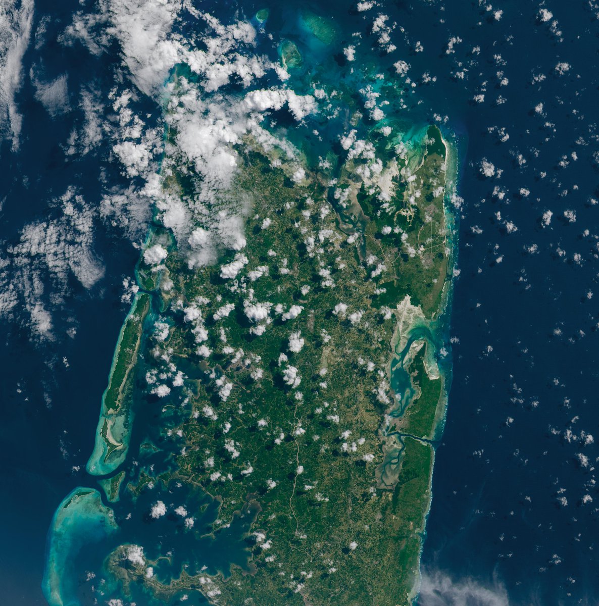 Obsessing over the blue of our blue marble 🌎

Earth’s oceans provide us with crucial resources that help people and economies thrive. NASA studies our global ocean to better understand it, and to track how it changes over time. go.nasa.gov/44C3FKF