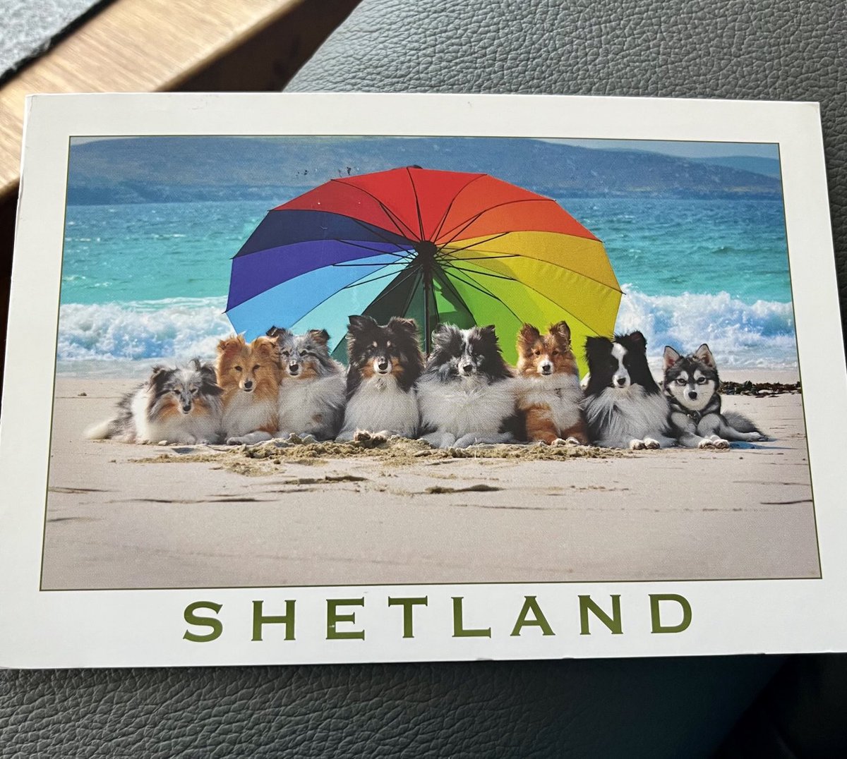 Wunderschöne Postkartenüberraschung im Briefkasten! 🥰