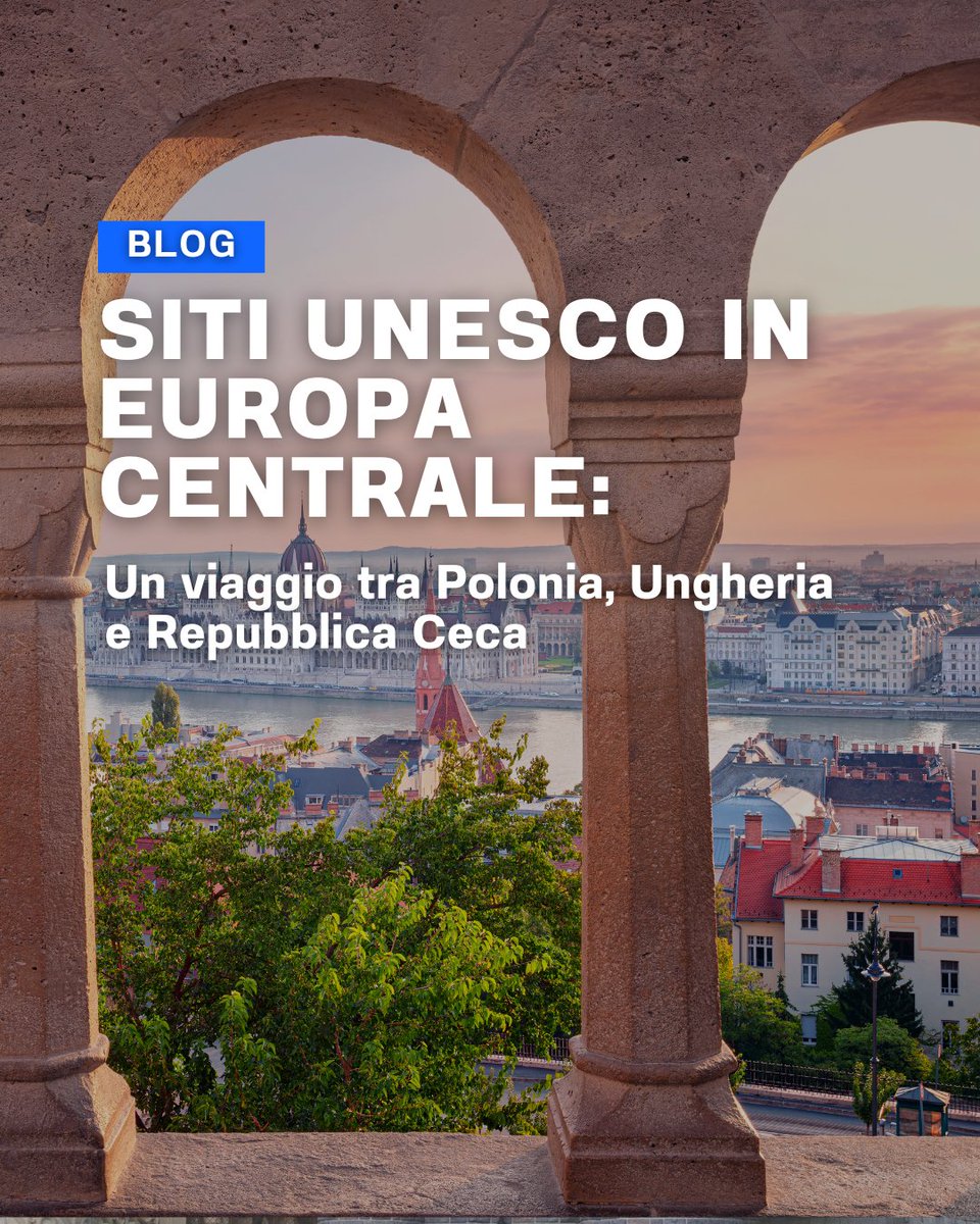 Evolution Travel tweet media