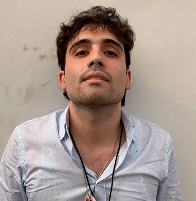 Good morning from Chicago’s federal courthouse, where Ovidio Guzman, son of “El Chapo,” is set to plead guilty to narcotics trafficking for the Sinaloa cartel.
How does Chicago factor into this blockbuster case? “You’re halfway to everywhere”
Read this: chicagotribune.com/2024/08/02/chi…