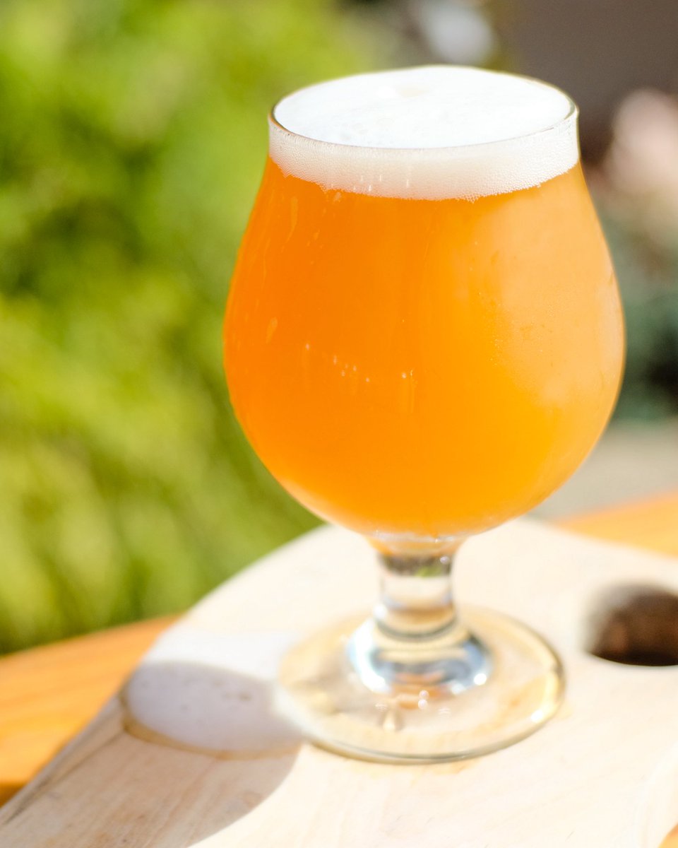 Borderland Festival tweet media