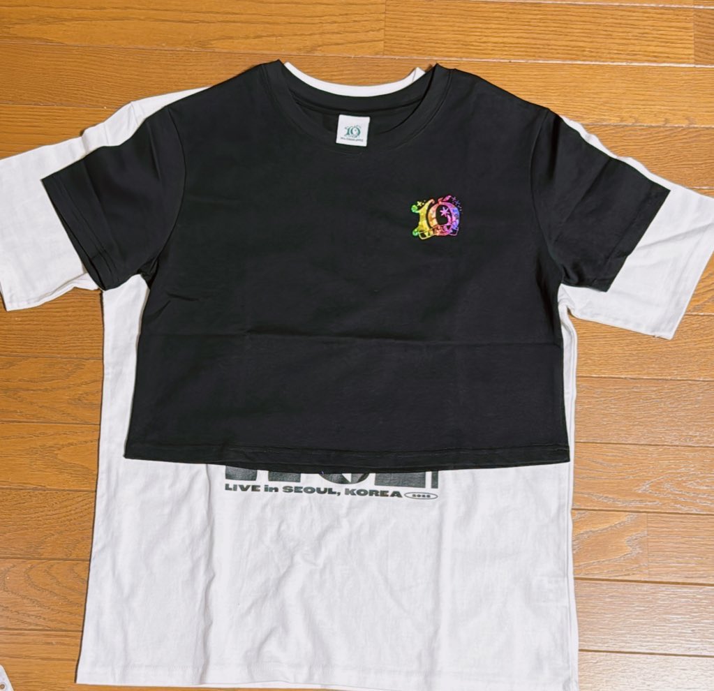 FJORDアニバーサリーTシャツ （クロップド）Ladies 10のロゴが可愛くて