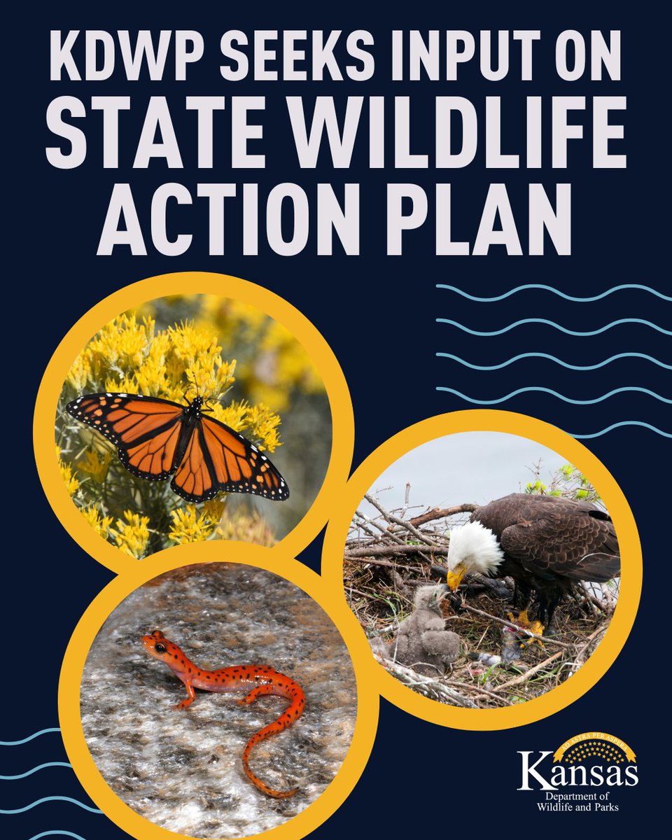 📢 Help shape the future of wildlife conservation in Kansas! 🦉🌾

KDWP is seeking public comment on the 2025 State Wildlife Action Plan draft.

🗓️ Comment by July 18
🔗 ksoutdoors.com/Services/Kansa…