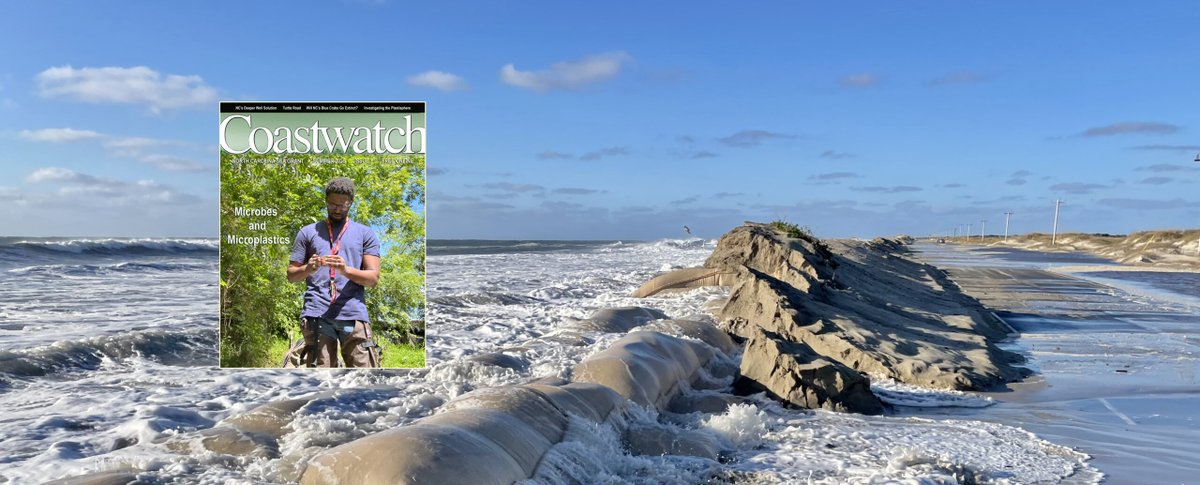 Our Summer 2025 issue of Coastwatch is live! It's got everything, from possible blue crab extinction to the "plastisphere" to Ghana's first marine protected area.   

Check it out now: ncseagrant.ncsu.edu/coastwatch/sum…