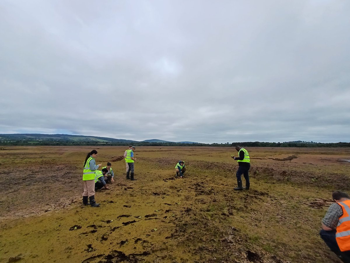 peatlandsLIFEIP's tweet image. 🌱 On Wednesday, Peatlands and People held its annual @EPAIreland researcher meeting! The meeting brought together scientists from several #EPA projects, which inform the implementation, impacts and monitoring of the project. Key insights here: peatlandsandpeople.ie/news/event-rec…