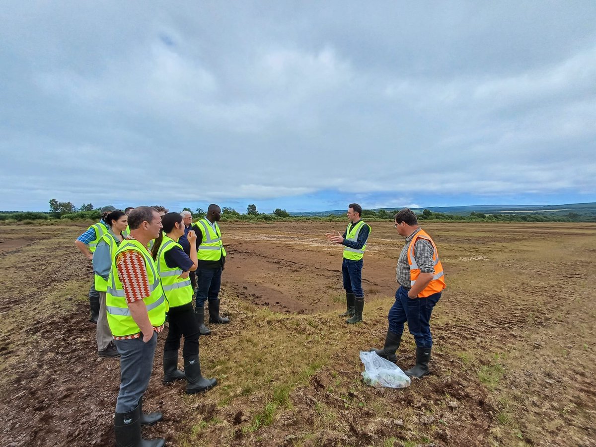 peatlandsLIFEIP's tweet image. 🌱 On Wednesday, Peatlands and People held its annual @EPAIreland researcher meeting! The meeting brought together scientists from several #EPA projects, which inform the implementation, impacts and monitoring of the project. Key insights here: peatlandsandpeople.ie/news/event-rec…