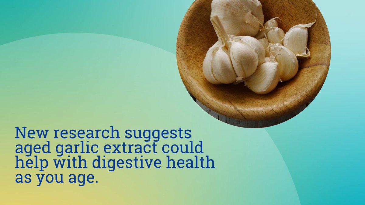 MGBResearchNews's tweet image. Is your gut slowing down as you age? Well, new @MassGenBrigham may be able to help!
Check out what our researchers found about aged #garlic extract: mgriblog.org/2025/05/20/fiv…