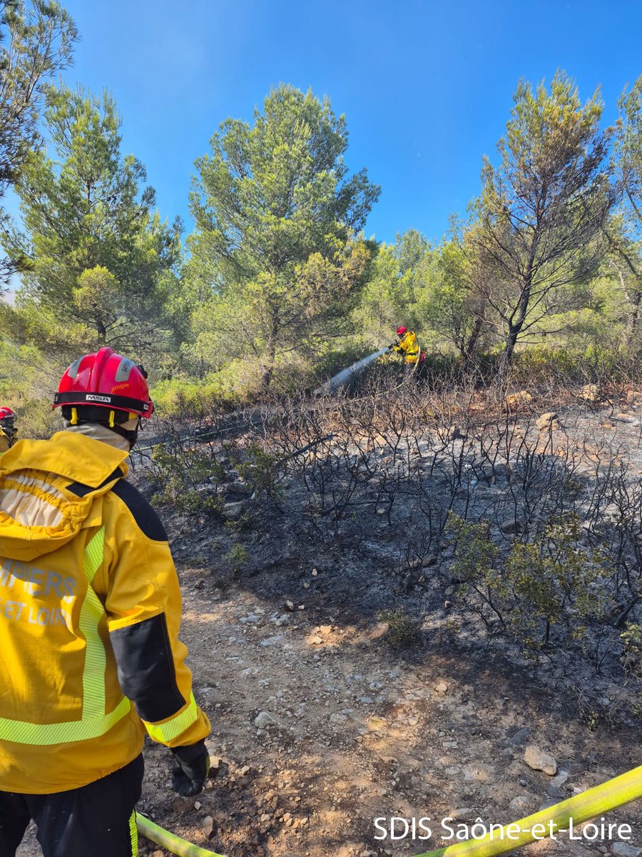 Préfecture de Zone de Défense et de Sécurité Est (@prefetzoneest) on Twitter photo 👨🏼🚒 Merci aux sapeurs-pompiers des colonnes EST ALPHA et EST BRAVO partis en renfort dans le sud du pays pour lutter avec les forces en place contre les feux de forêts : <a href="/SDIS_10/">Sapeurs-pompiers de l'Aube 1⃣0⃣</a> <a href="/sdis21/">Sapeurs-Pompiers de la Côte-d'Or - SDIS 21</a> <a href="/SDIS51/">Sapeurs-pompiers de la Marne</a> <a href="/sdis52/">Sapeurs-Pompiers de la Haute-Marne / SDIS 52</a> <a href="/Pompiers55/">Pompiers55</a> <a href="/SDIS57/">Sapeurs-Pompiers de la Moselle</a> <a href="/SDIS58/">Sapeurs-Pompiers de la Nièvre</a> <a href="/sdis67/">Service d'incendie et de secours du Bas-Rhin</a> <a href="/sdis68/">SDIS 68 - Haut-Rhin</a> <a href="/SDIS_70/">Sapeurs Pompiers 70</a> <a href="/SDIS71/">Sapeurs-pompiers de Saône-et-Loire</a> <a href="/SDIS_89/">SDIS YONNE</a> <a href="/COZ_EST/">COZ EST 🇫🇷 🇪🇺</a> 👨🏼🚒 Merci aux sapeurs-pompiers des colonnes EST ALPHA et EST BRAVO partis en renfort dans le sud du pays pour lutter avec les forces en place contre les feux de forêts : <a href="/SDIS_10/">Sapeurs-pompiers de l'Aube 1⃣0⃣</a> <a href="/sdis21/">Sapeurs-Pompiers de la Côte-d'Or - SDIS 21</a> <a href="/SDIS51/">Sapeurs-pompiers de la Marne</a> <a href="/sdis52/">Sapeurs-Pompiers de la Haute-Marne / SDIS 52</a> <a href="/Pompiers55/">Pompiers55</a> <a href="/SDIS57/">Sapeurs-Pompiers de la Moselle</a> <a href="/SDIS58/">Sapeurs-Pompiers de la Nièvre</a> <a href="/sdis67/">Service d'incendie et de secours du Bas-Rhin</a> <a href="/sdis68/">SDIS 68 - Haut-Rhin</a> <a href="/SDIS_70/">Sapeurs Pompiers 70</a> <a href="/SDIS71/">Sapeurs-pompiers de Saône-et-Loire</a> <a href="/SDIS_89/">SDIS YONNE</a> <a href="/COZ_EST/">COZ EST 🇫🇷 🇪🇺</a>
