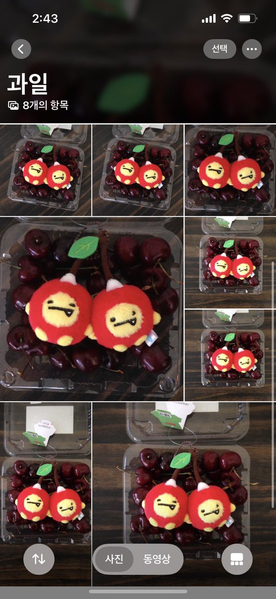 췌리 🍒 한입 하실라우?